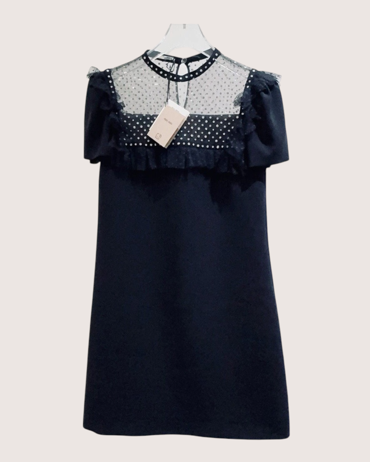 Miu Miu Crystal-Embellished Mini Dress Black, Silver FR 34
