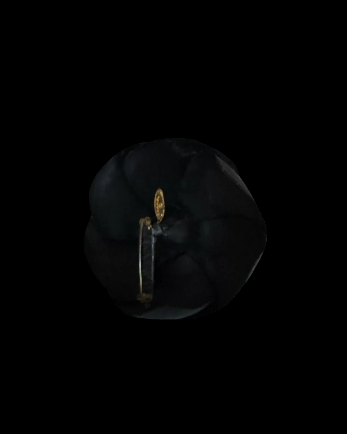 Chanel 16P Camellia Brooch